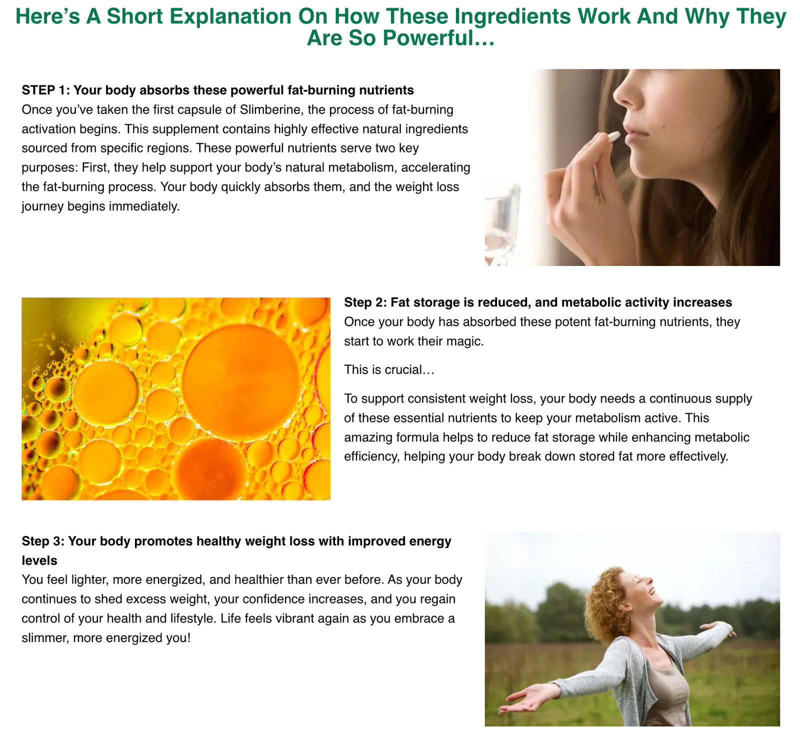 SlimBerine Supplement